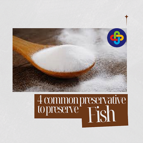  4 Common Preservatives to Preserve Fish